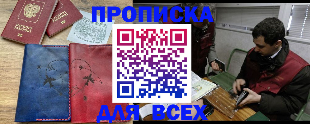 прописка в Сураже